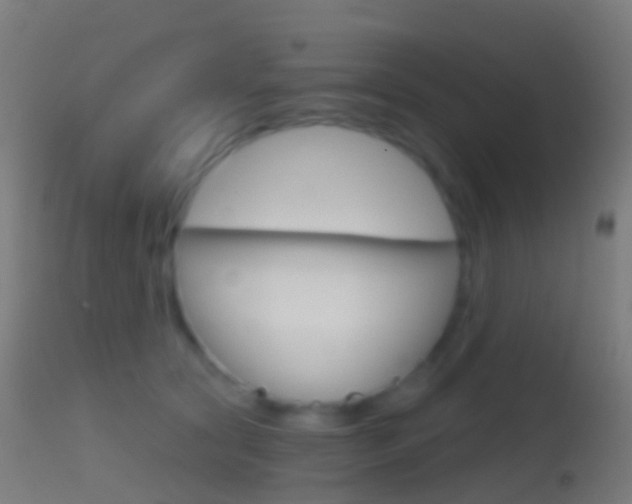 X0000114670561200910211011