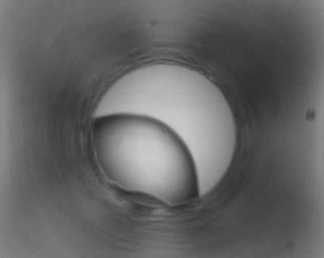 X0000114670562200910211011