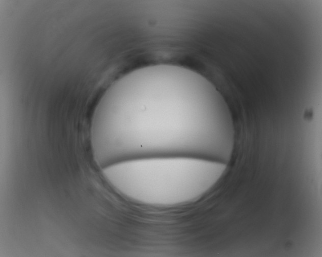 X0000114670563200910211011