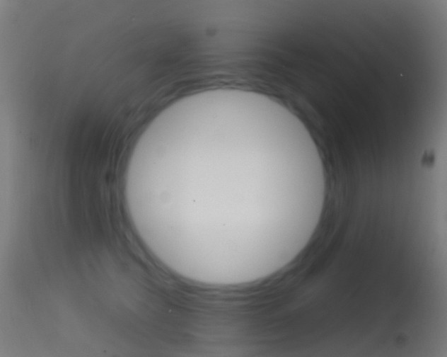 X0000114670565200910211011