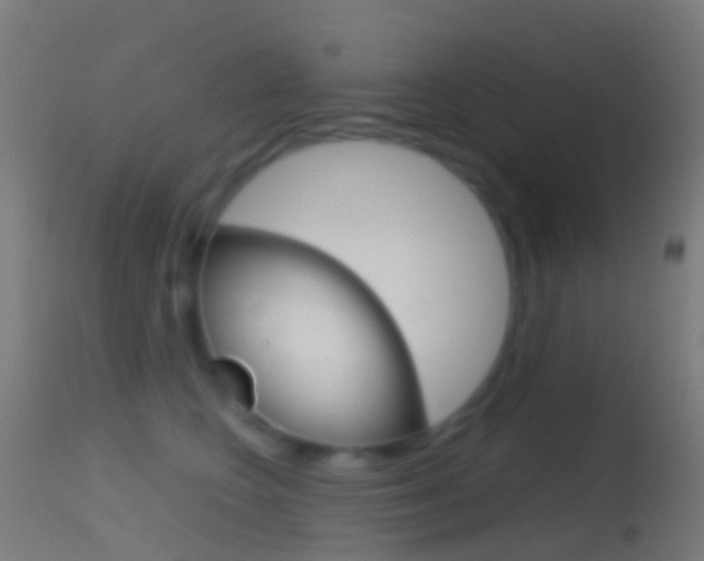 X0000114670566200910211011