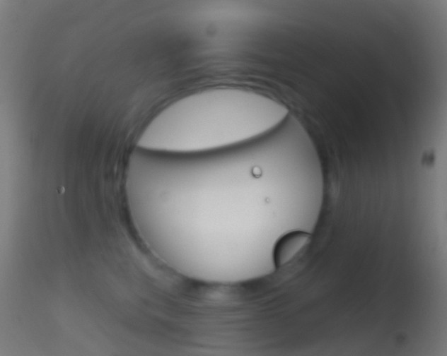 X0000114670567200910211011