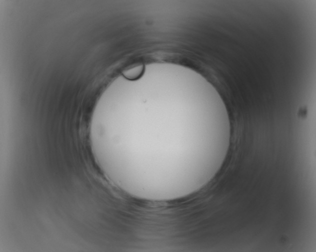 X0000114670569200910211011