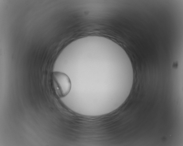 X0000114670570200910211011