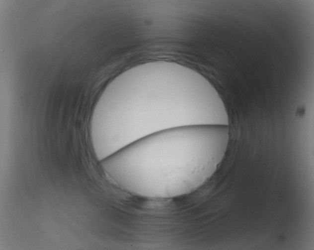 X0000114670571200910211011