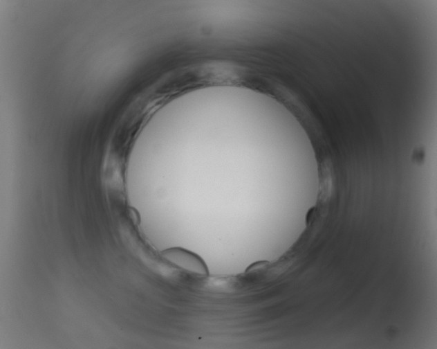 X0000114670573200910211011
