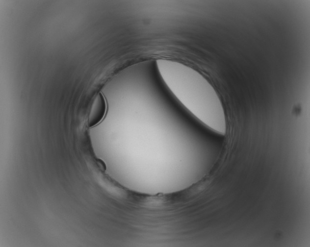X0000114670574200910211011