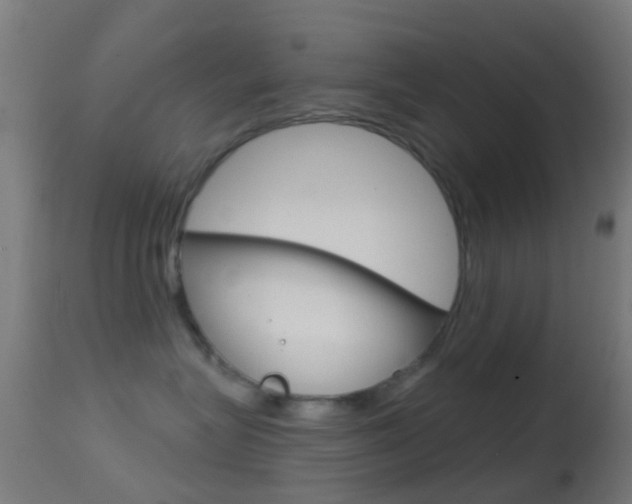 X0000114670575200910211011