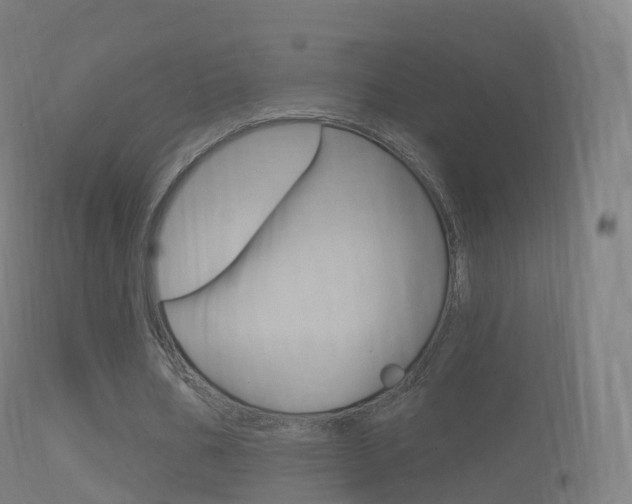 X0000114670578200910211011