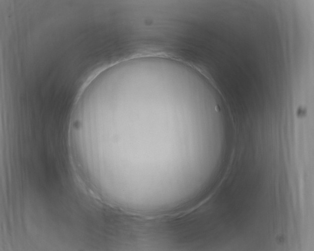 X0000114670579200910211011