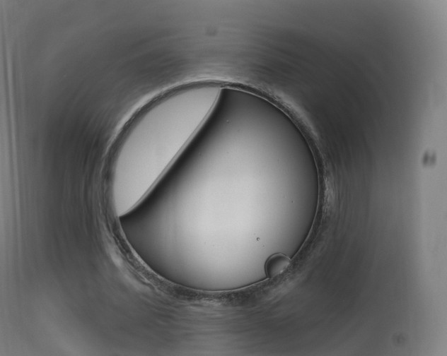 X0000114670580200910211011