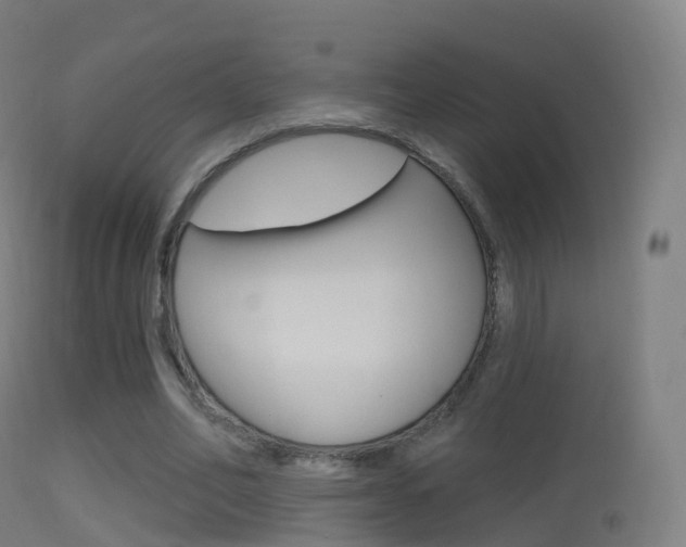 X0000114670582200910211011