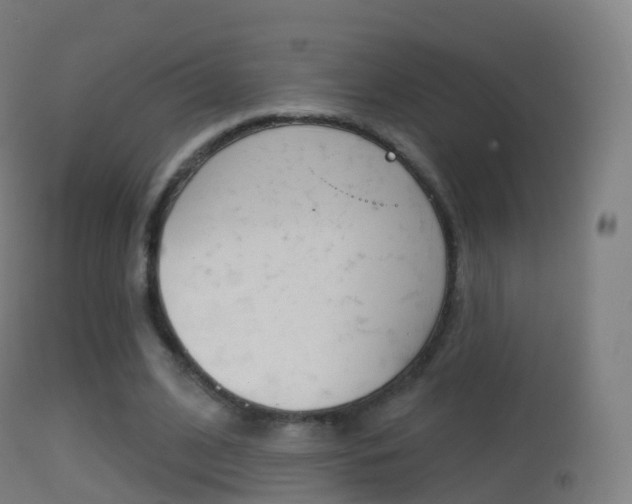 X0000114670584200910211011