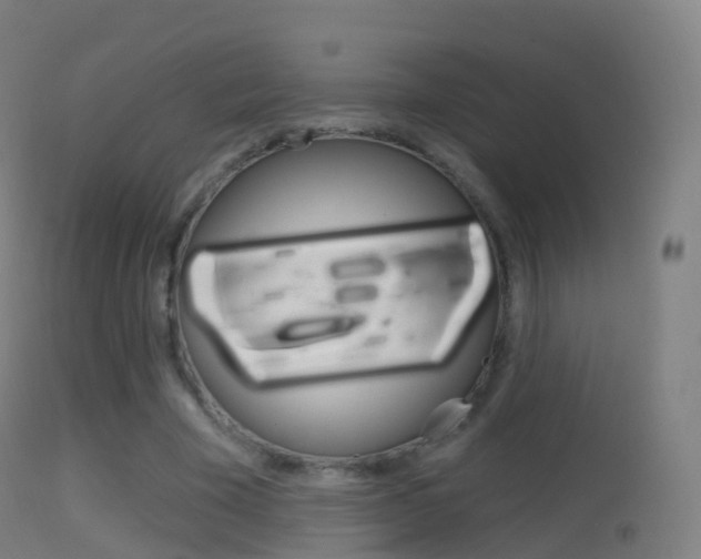 X0000114670585200910211011