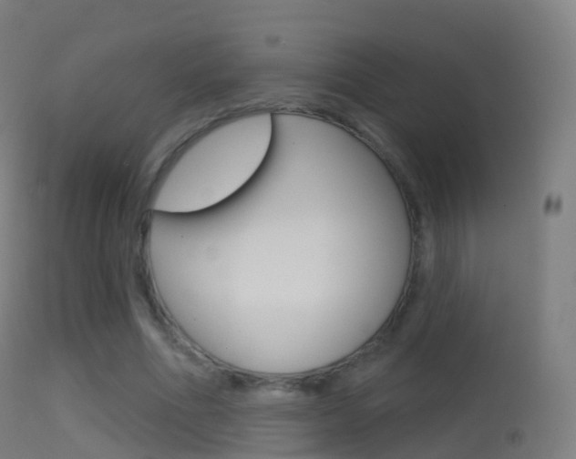 X0000114670586200910211011