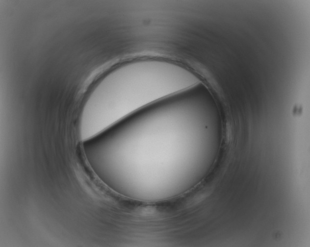 X0000114670588200910211010