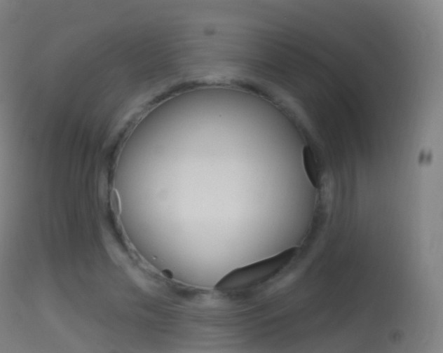 X0000114670589200910211010