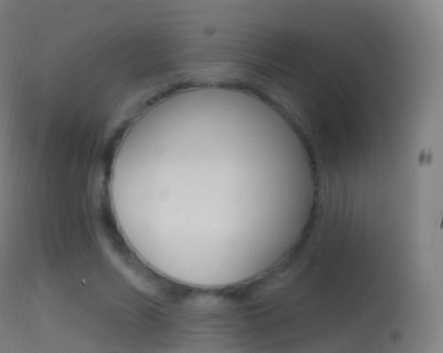 X0000114670590200910211010
