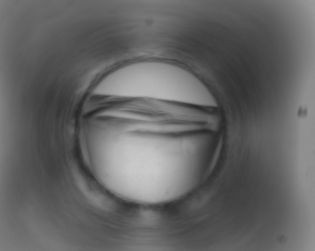 X0000114670592200910211010