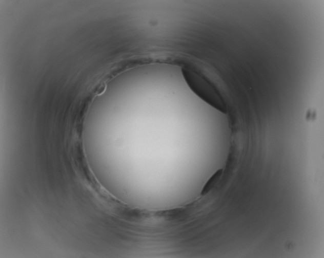 X0000114670593200910211010