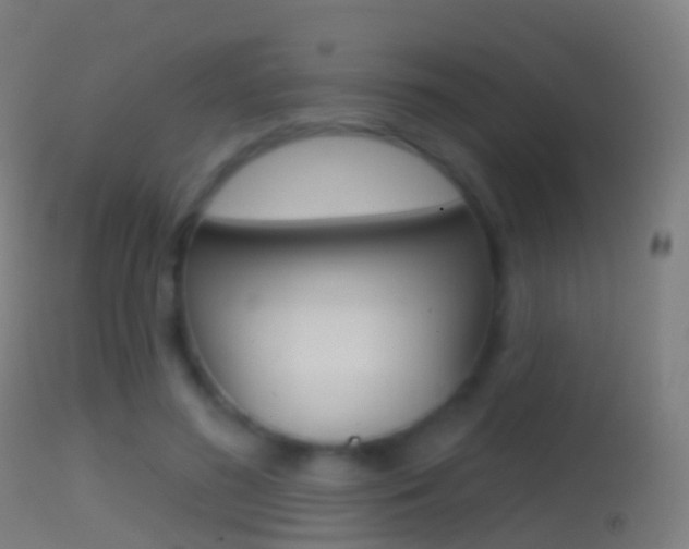 X0000114670596200910211010