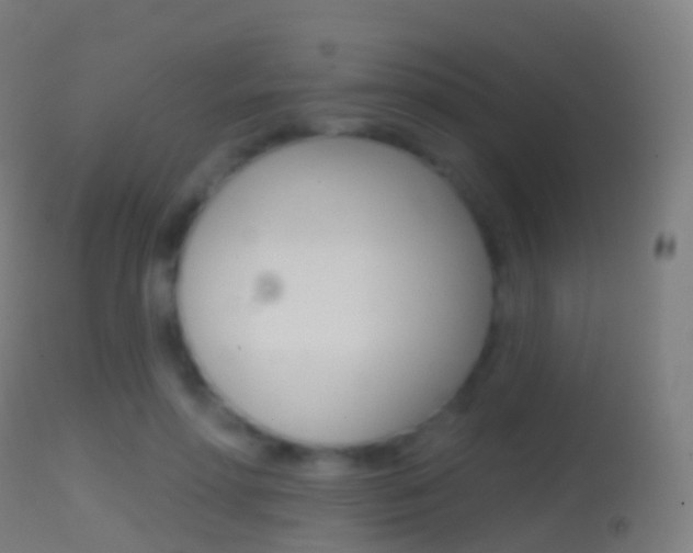 X0000114670598200910211010