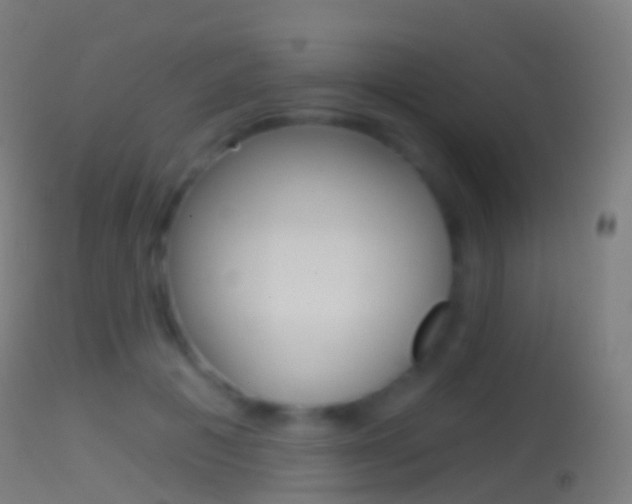 X0000114670601200910211010