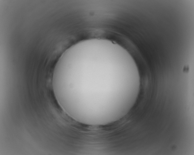X0000114670602200910211010