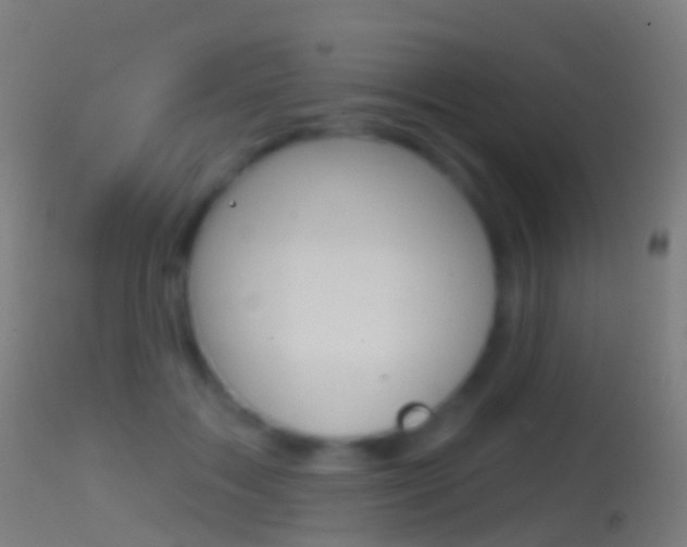 X0000114670603200910211010