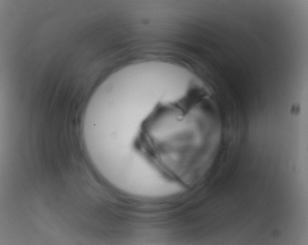 X0000114670605200910211010