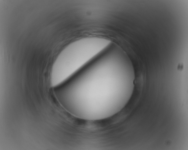 X0000114670608200910211010