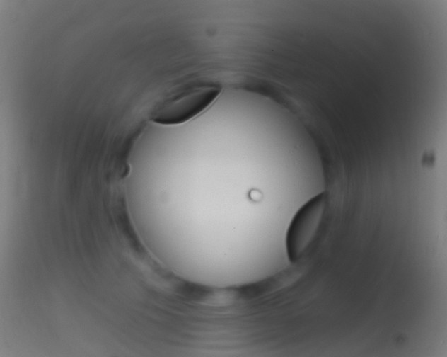 X0000114670609200910211010