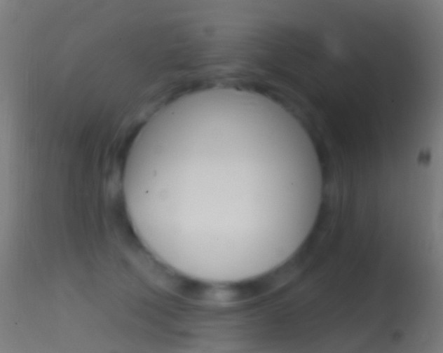 X0000114670610200910211010