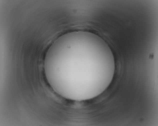 X0000114670612200910211010