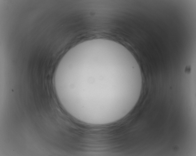 X0000114670613200910211010