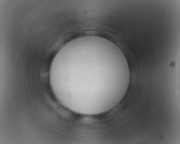 X0000114670614200910211010