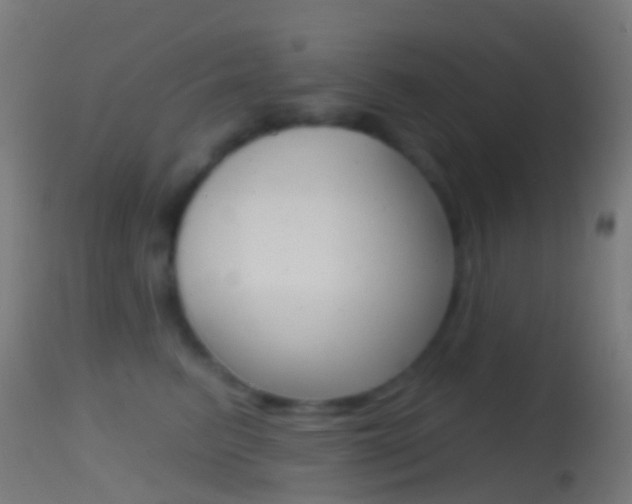X0000114670615200910211010