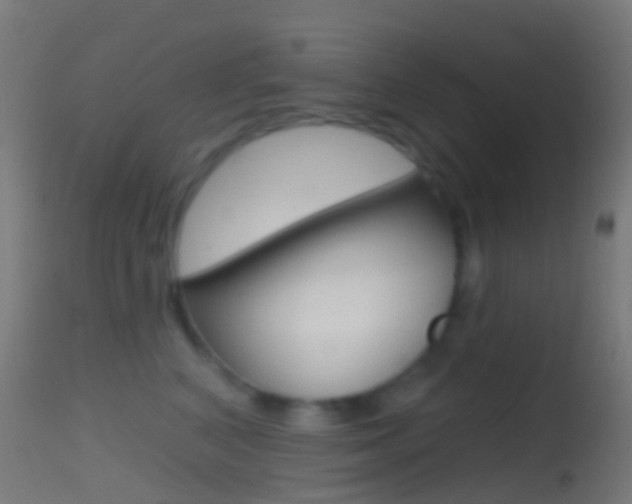 X0000114670616200910211010