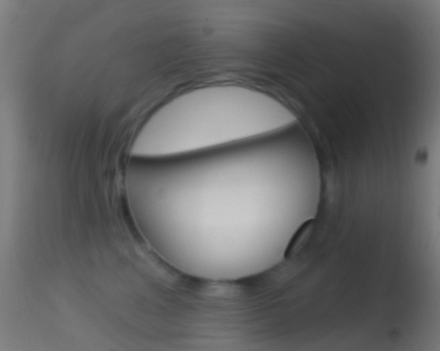 X0000114670617200910211010