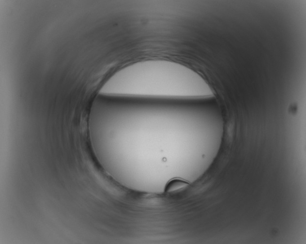 X0000114670620200910211010