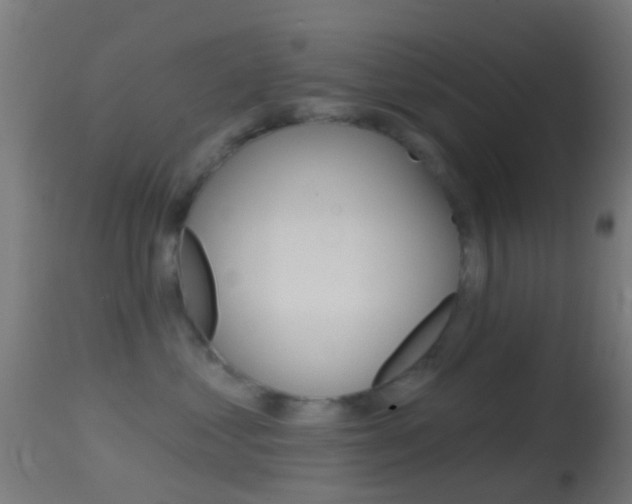 X0000114670621200910211010