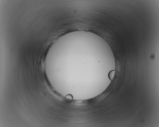 X0000114670622200910211010