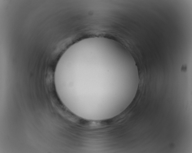 X0000114670623200910211010