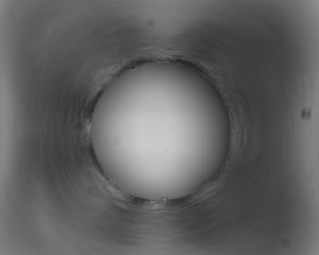 X0000114670624200910211010