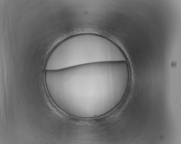 X0000114670625200910211009