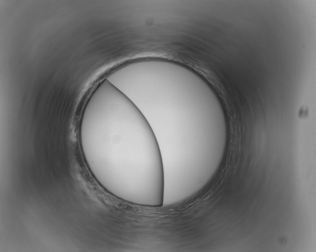 X0000114670628200910211009