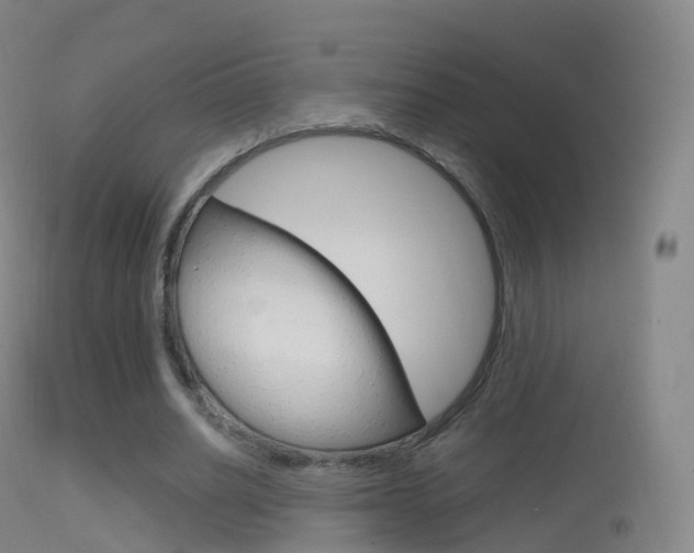 X0000114670630200910211009