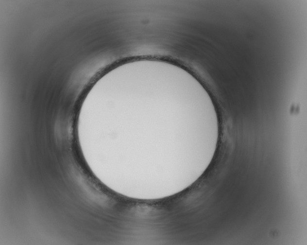 X0000114670632200910211009