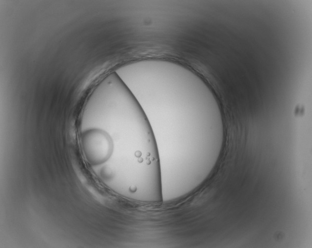 X0000114670634200910211009