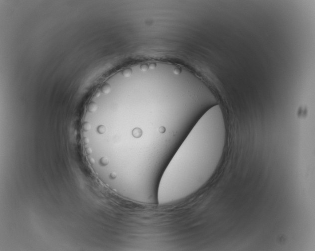 X0000114670635200910211009